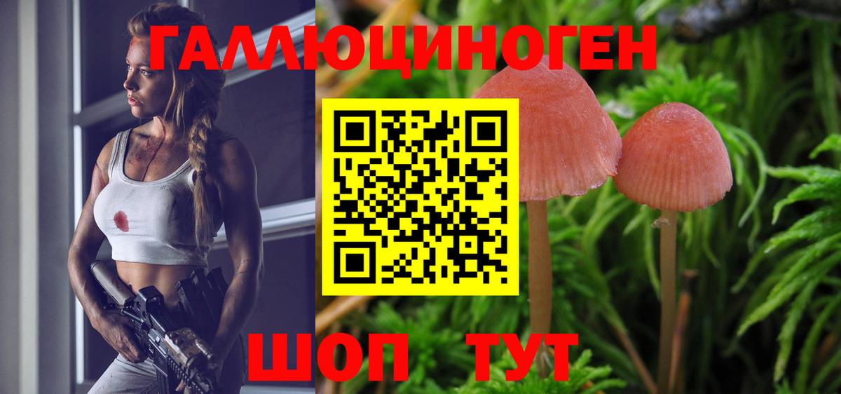 Галлюциногенные грибы Psilocybe  Галлюциногенные грибы GOLDEN TEACHER  Петрозаводск  Вход с VPN 