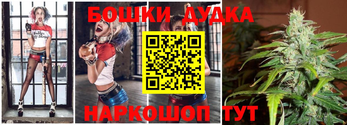 Петрозаводск  Шишки марихуана план  Бошки Шишки OG Kush  Вход с VPN  Канабис сатива 